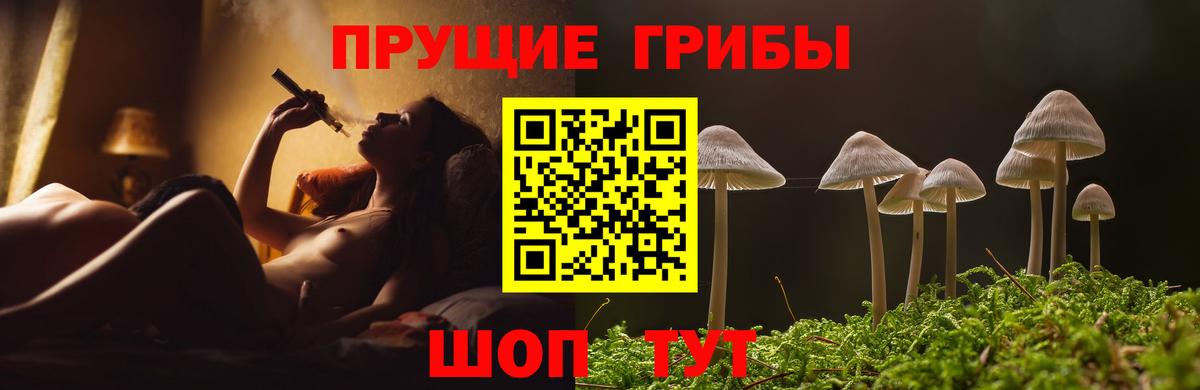 Псилоцибиновые грибы Psilocybe  Галлюциногенные грибы MAGIC MUSHROOMS  Вход с VPN  Таганрог 